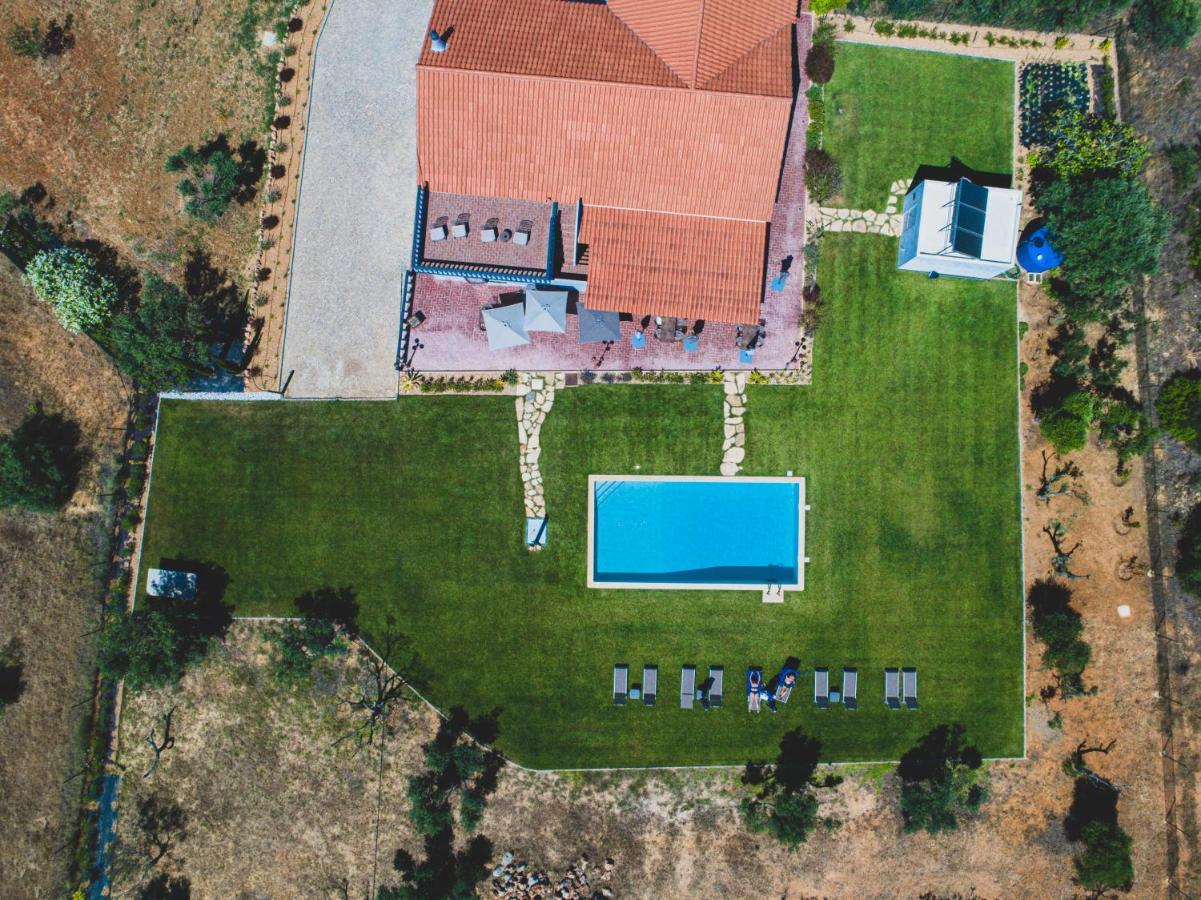 Vila Fuzeta With Pool & Garden エクステリア 写真